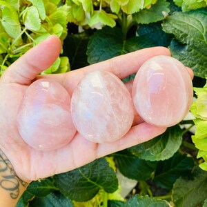 Rose Quartz Palm Stones, Rose Quartz Palmstones Gallets