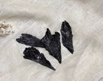 Raw Black Kyanite Fan, Crystal Mineral Specimen