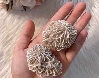 May include: Two desert rose selenite crystal formations, beige in color, are held in a hand. The crystals have a layered, rosette-like appearance. A bouquet of pink roses is visible in the background.