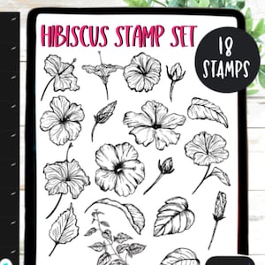 Procreate Stamp Hibiscus Stamp Set for Procreate Brushes IPad Brush Hibiscuses Stamp Flowers Hawaiian Flowers Bundle 18 Stamps Hibiscus