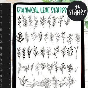 Procreate Stamp Botanical Leaves Stamp Set for Procreate Brushes IPad Brush Leaf Stamp Branch Flower Bouquet Leaves Twigs Bundle 46 Stamps