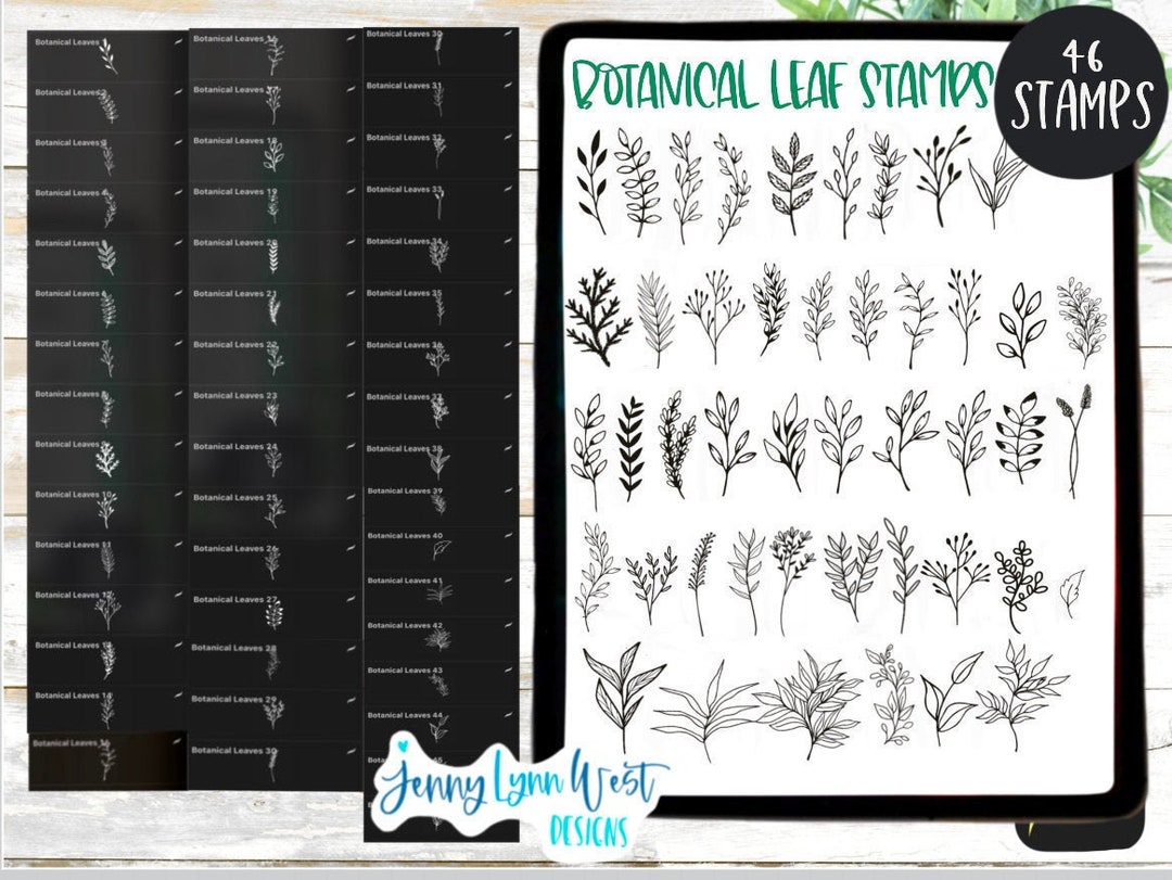 Procreate Stamp Botanical Leaves Stamp Set for Procreate Brushes iPad ...