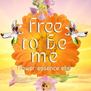 May include: An artistic composition featuring a vibrant orange flower at the center, with the words "free to be me" in white. The phrase "flower essence elixir" is below. Additional flowers and a gradient background complete the design.