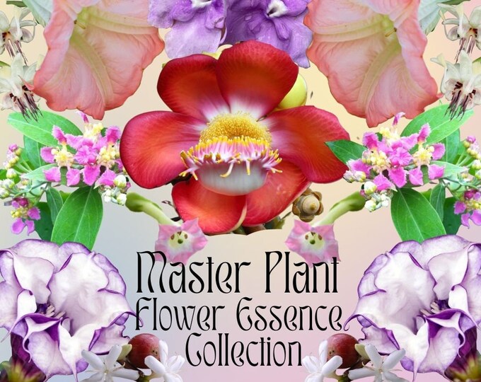 Master Plant 14 Flower Essence Collection
