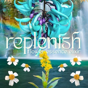 Może przedstawiać: Żywy obraz przedstawiający turkusowe kwiaty z fioletowymi akcentami i żółtymi kwiatami w kształcie gwiazd. Tekst "replenish flower essence elixir" jest wyświetlany na tle wodospadu, z białymi i żółtymi kwiatami na pierwszym planie.