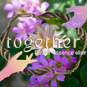 May include: An image featuring a floral arrangement with the word "together" in a stylized font. The arrangement includes purple and pink flowers, with the text "flower essence elixir" below. Two hands are illustrated on the sides of the arrangement.