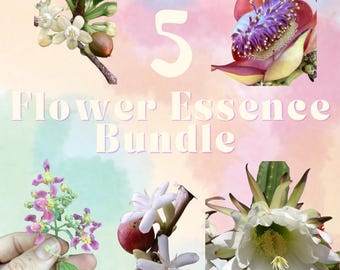 5 Flower Essence Bundle