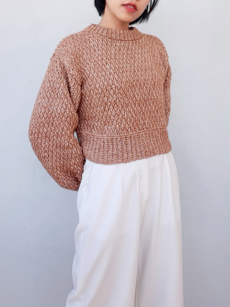 May include: A brown and white cropped sweater with a textured knit pattern. The sweater has long sleeves and a round neckline.
