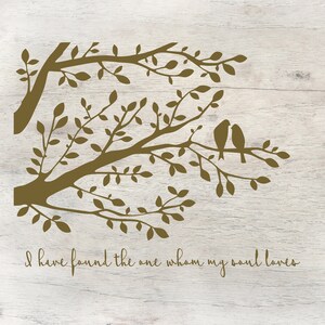 I Have Found the One Whom my Soul Loves, Home Wall Decor, Gift for Newlyweds, Inspirational Quote, Wedding, Love Birds in Tree, Tree Decal