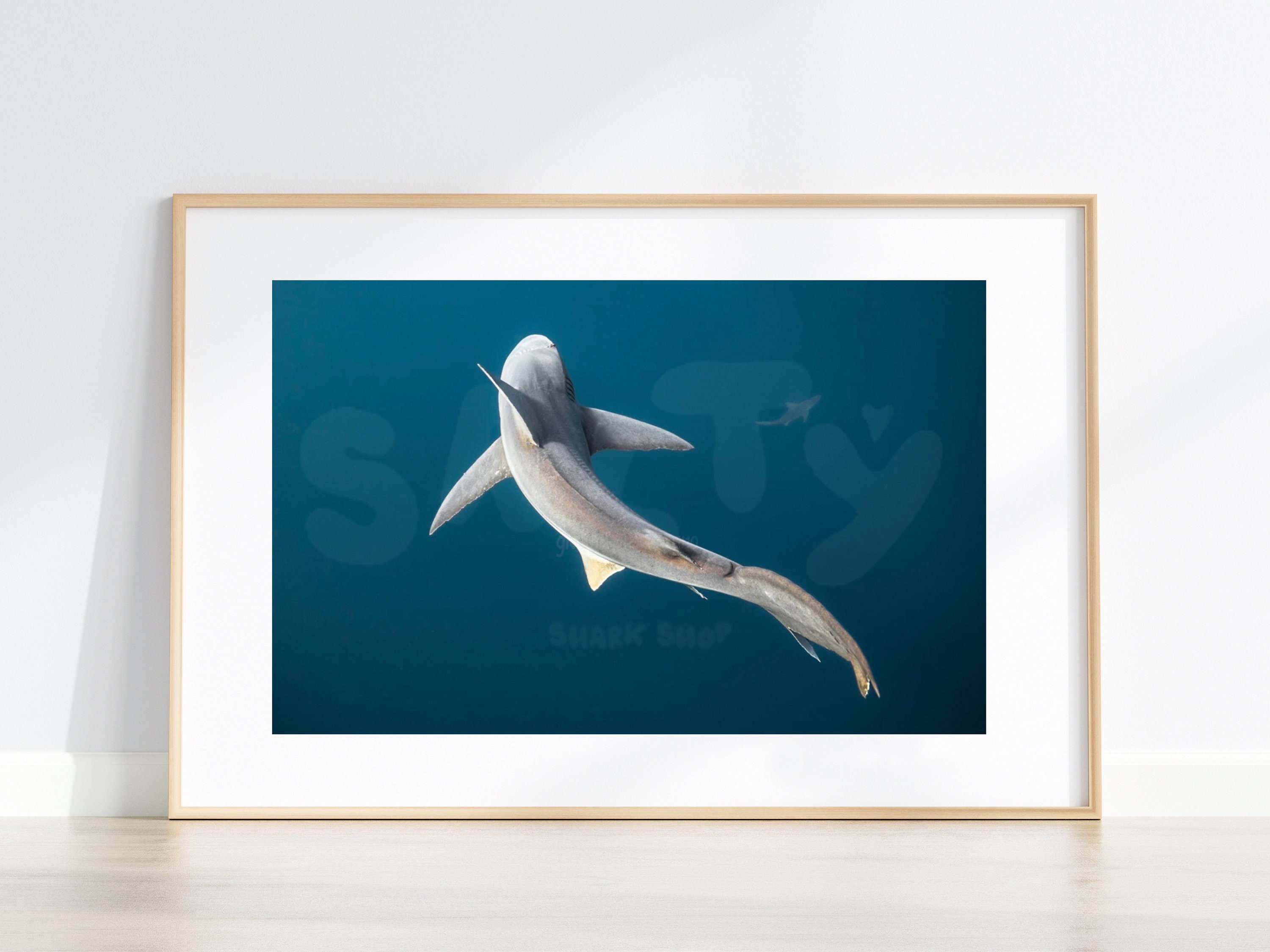 Imprimé requin banc de sable