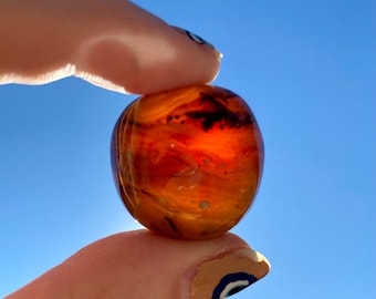 Zebra Amber Tumbled Stone -