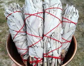 White Sage Bundle - Smoke Cleansing
