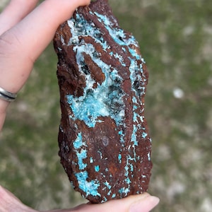 Op de afbeelding: Een ruw, natuurlijk mineraal specimen met een roestbruine buitenkant en levendige turquoise blauwe aderen en zakken. De steen wordt tegen een vage groene achtergrond gehouden, wat het unieke kleurcontrast en de textuur laat zien.