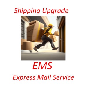 Express International Shipping Upgrade: India Post EMS