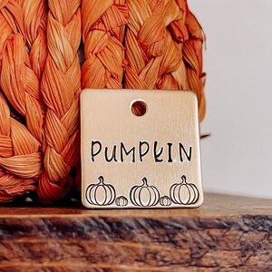Custom Personalized Dog Tag, Pet ID Tag, Metal Hand Stamped Dog Tag | Fall, Autumn, Pumpkin, Pumpkins | Pumpkin Square Design
