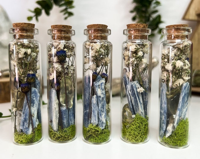 Good Vibes Terrarium Spell Jar With Kyanite and Citrine, Witchy