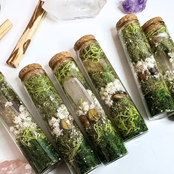 XL Good Vibes Botanical and Crystal Spell Jar, Quartz Terrarium with Moss, Crystal Gift For Office Space & Desk, Spiritual Witchy Home Decor