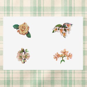May include: Four floral stickers on a white background. The stickers feature a yellow rose, white and orange blossoms, pink and white flowers, and orange flowers. The background is a light green and beige plaid pattern.