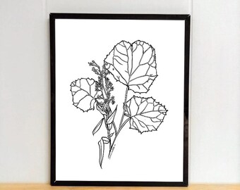 Pflanzen Illustration Digital Download, Frühling Dekor, Wissenschaft Printable, Frühling Illustration, DIY Dekor, 5 JPGs
