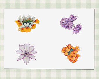 Blumen Aufkleber, handcolorierter Bleistift Aufkleber, Planer Journal Decor, Frühlingsthema, lila & orange Farben