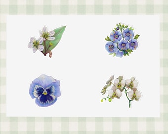Blumen Aufkleber, handkolorierter botanischer Aufkleberbogen, Frühlingsthema Planer Dekor