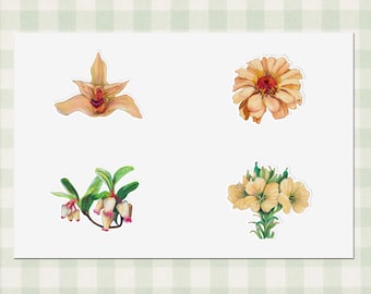 Blumen Aufkleber, Blumen Sticker Blatt, handgezeichnete Buntstift Kunst, Planer Journal Dekor, Frühlingsthema