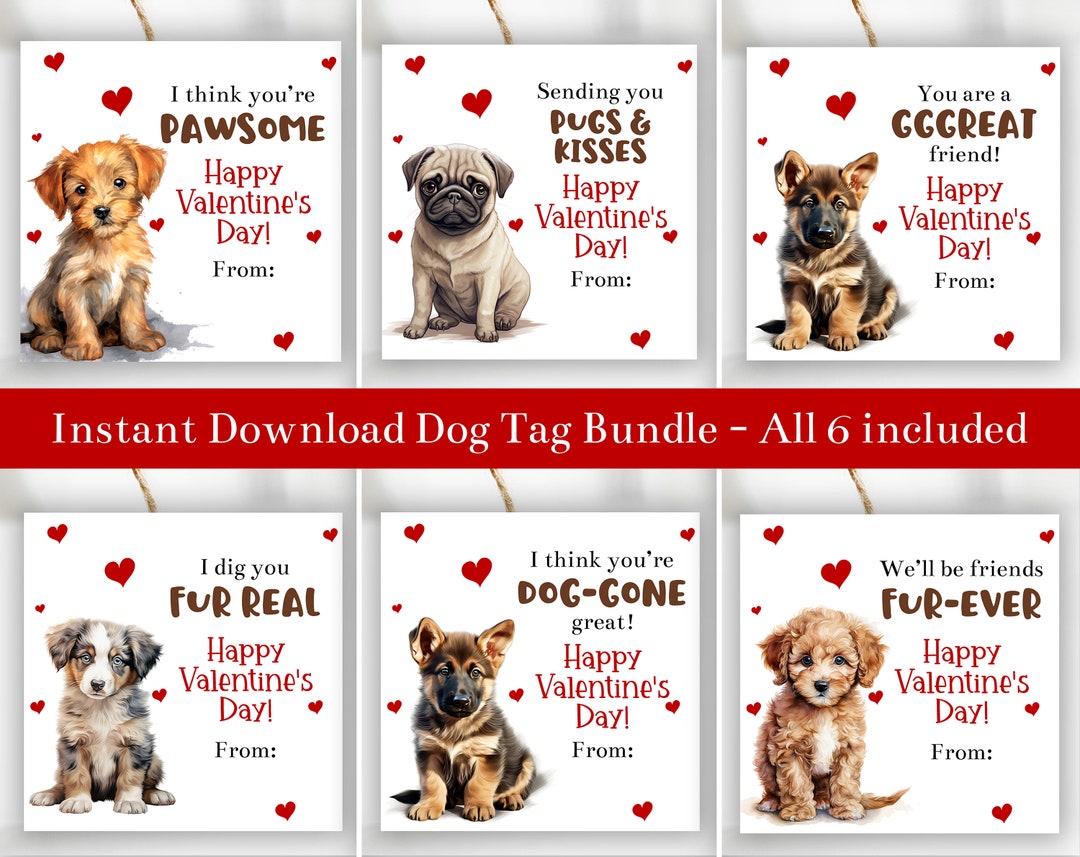 Printable Dog Valentines Cards Bundle Set Templates Puppy Valentines For Kids School Pawsome