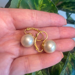 May include: A pair of gold hoop earrings with white pearl accents.