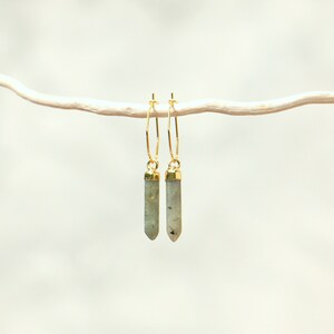 Labradorite Spike Earrings With Octagon Hoops image 3