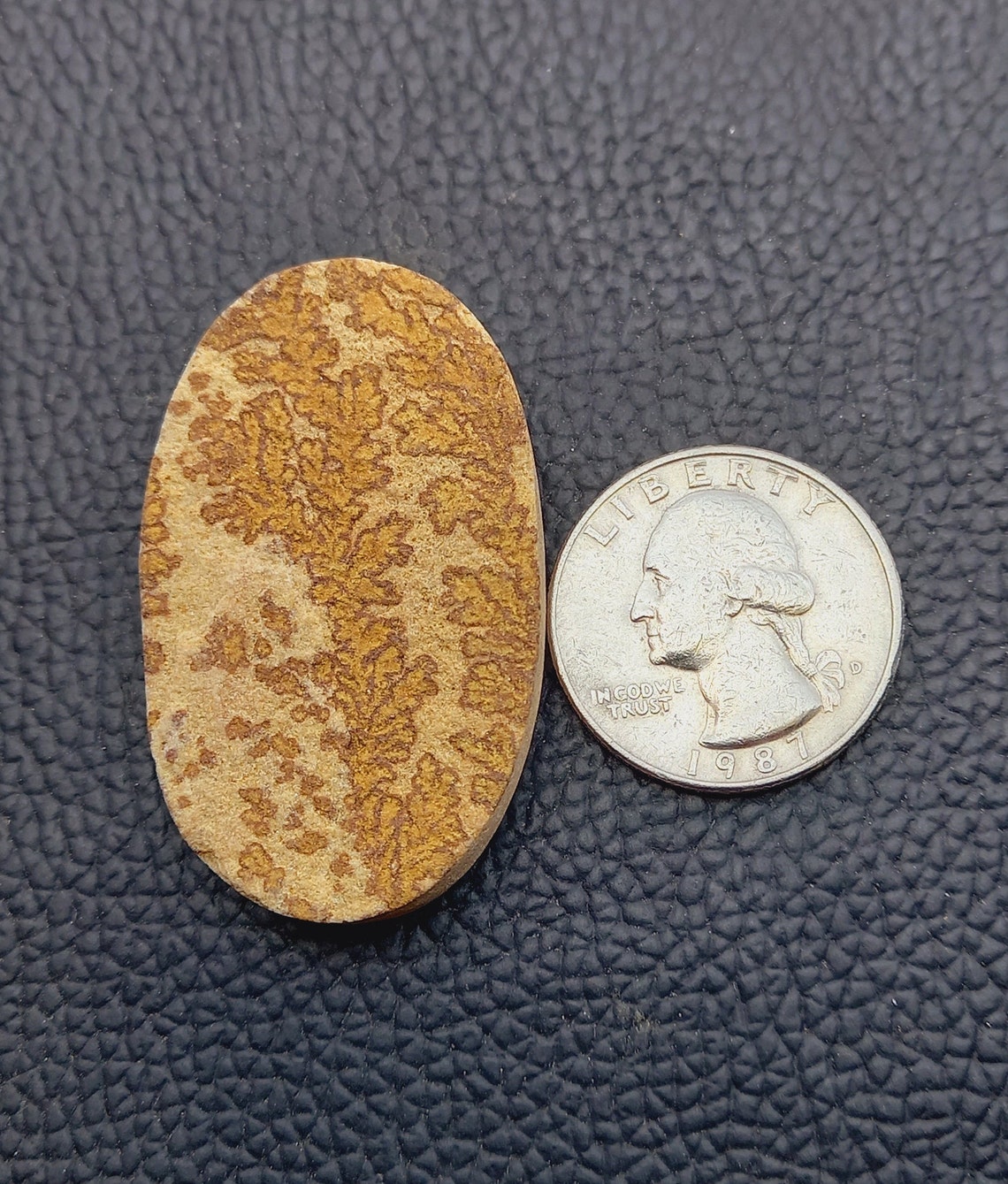 psilomelane dendrite psilomelane dendrite