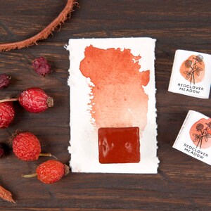 May include: A watercolour paint pan in a red-orange colour with a watercolour wash sample on a white paper background. The paint pan is labelled "Redclover Meadow". There are also dried rose hips scattered around the paper.
