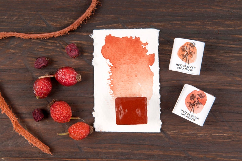 May include: A watercolour paint pan in a red-orange colour with a watercolour wash sample on a white paper background. The paint pan is labelled "Redclover Meadow". There are also dried rose hips scattered around the paper.
