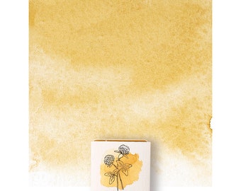 Colori ad acquerello Jarosite, mezza confezione. Acquerelli fatti a mano, ecologici e atossici. Materiale artistico fatto a mano.