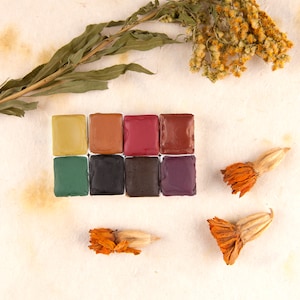 Handmade watercolor palette with 8 colors. Mineral watercolor palette. Earth colors. Handmade paint. 8 half pans. Art supply.