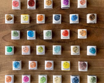 Custom Watercolor Palette: 12 Handmade Aquarelle Paints