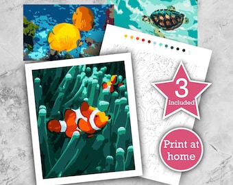 Color By Numbers Etsy