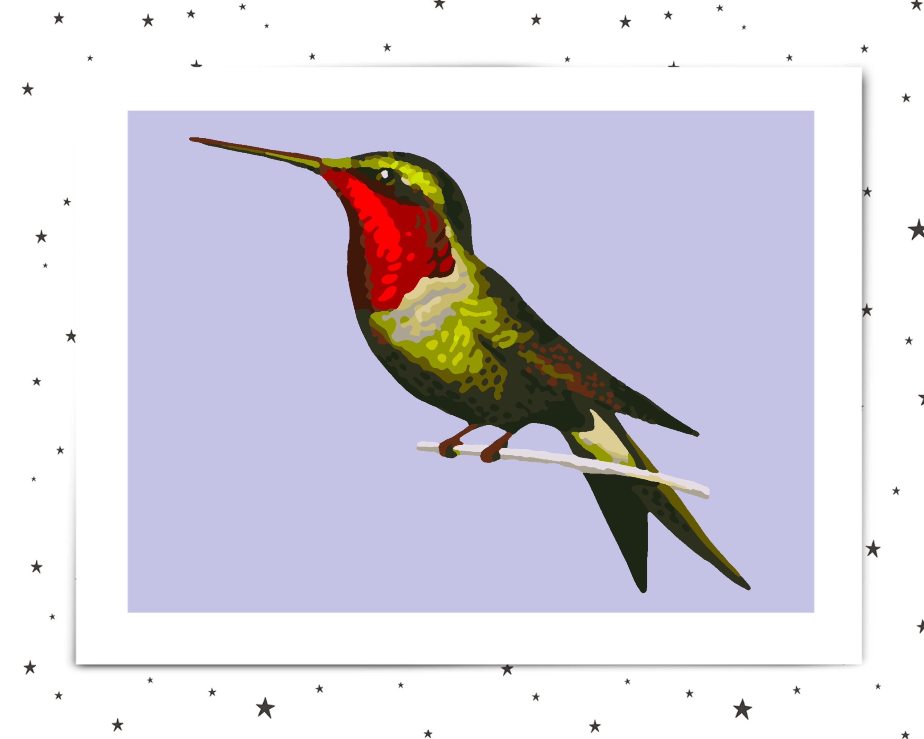 Hummingbird Paint By Numbers Adult Colouring Art Guide Etsy