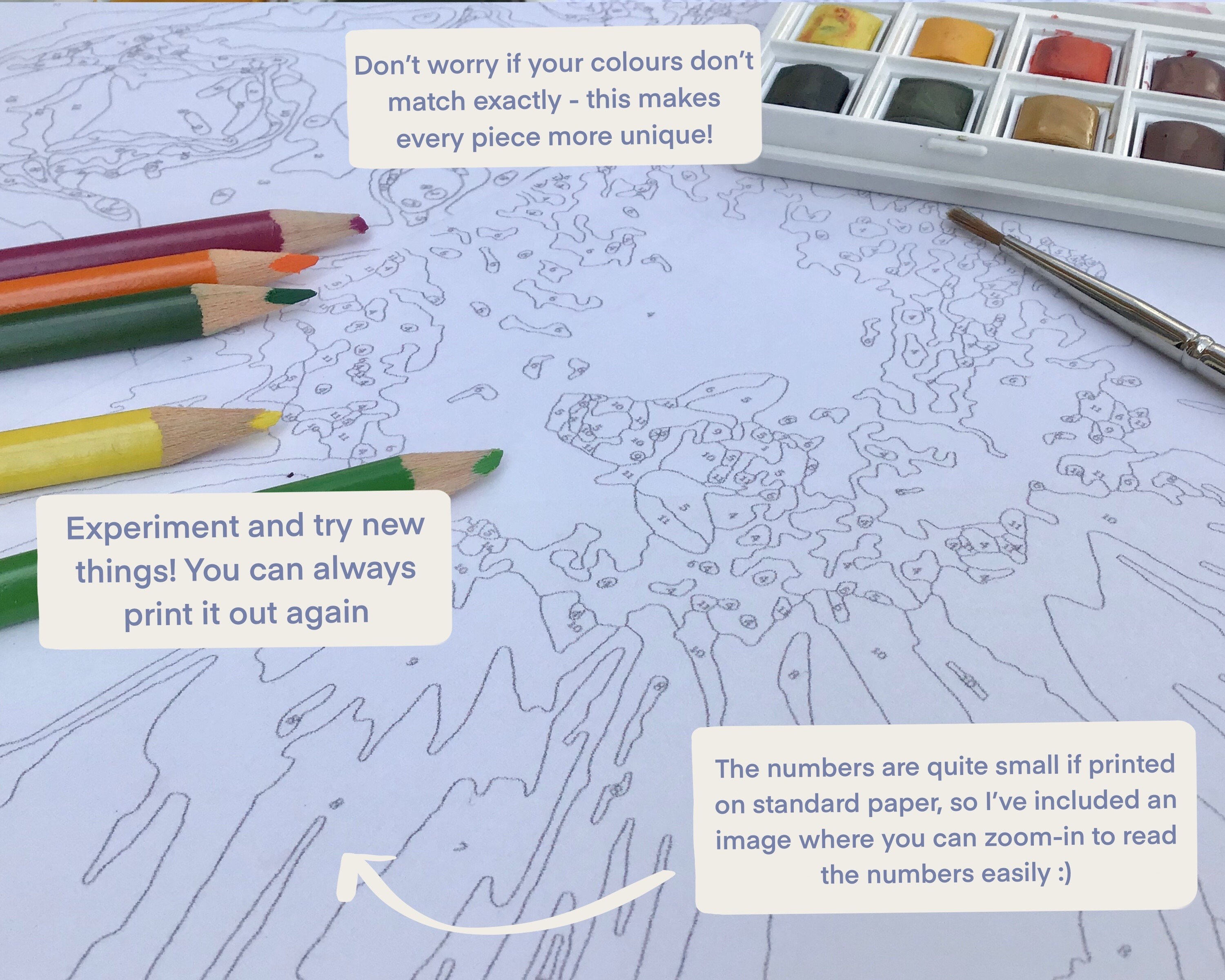 Cat Paint by Numbers for Adults Printable PDF Kittens | Etsy