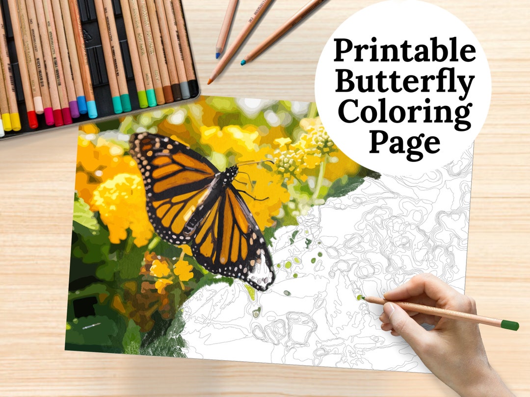 Butterfly Coloring Page Relaxing Plant Colouring Printable - Etsy