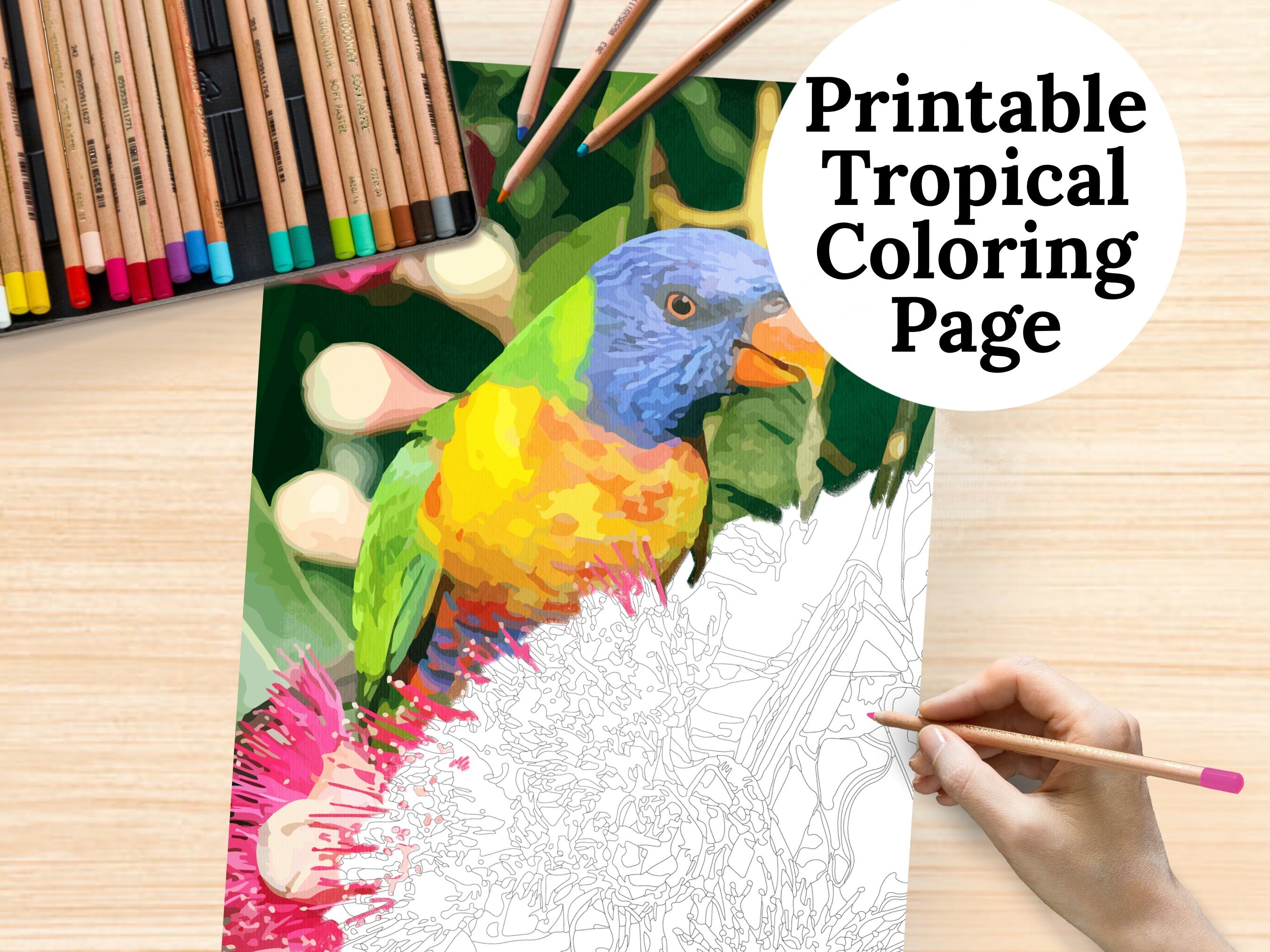 Tropical Coloring Page Wall Art Coloring for Adults Etsy