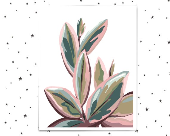 Plant Paint by Numbers Kit for Adults Minimalist & Modern Pink and Green  Leaves Easy DIY Art Printable PDF 