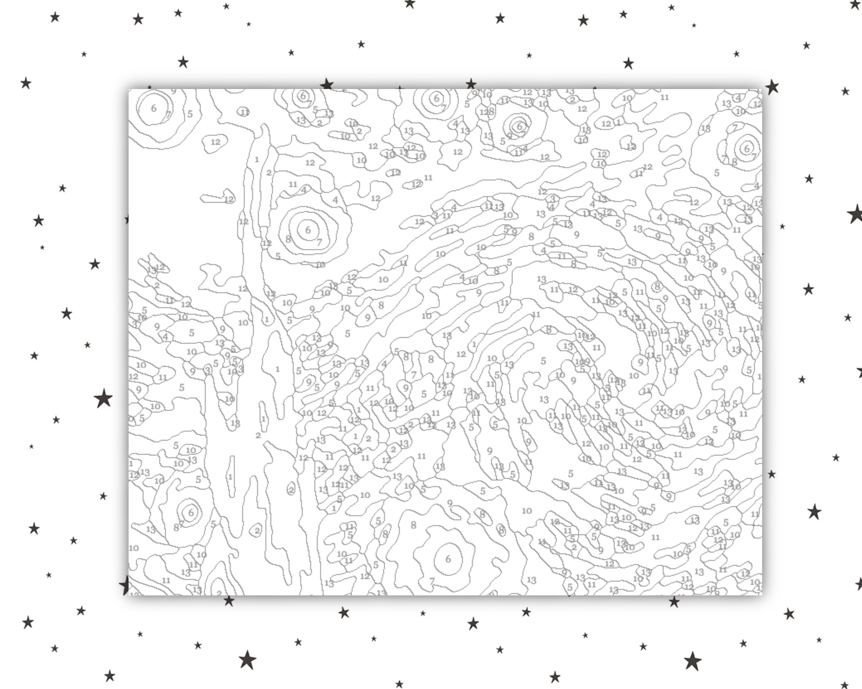 Paint By Numbers Van Gogh Starry Night Activity Kit Adult | Etsy