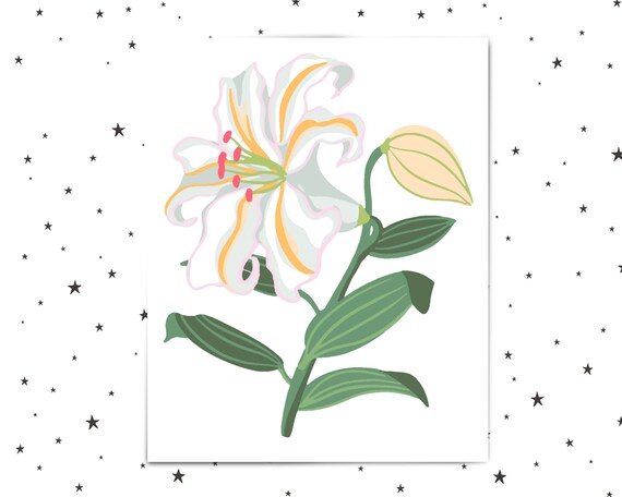 lily paint by numbers for adults printable flower colour etsy