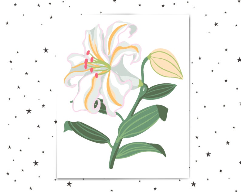 Lily Paint By Numbers For Adults Printable Flower Colour Etsy Lily Paint By Numbers For Adults Printable Flower Colour Etsy