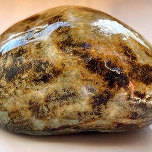 May include: A rounded, polished stone with a smooth surface. The stone displays a mix of brown, tan, and black patterns, with lighter areas. The oval-shaped stone appears to be naturally formed, with a glossy finish.