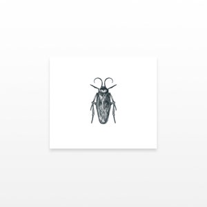 2 Cockroach Temporary Tattoos