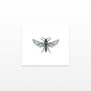 2 Wasp Temporary Tattoos