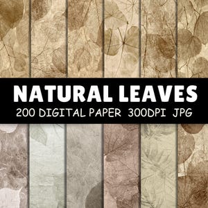 200 Natural Leaf Background Papers | Botanical Skeleton Leaves Texture for Scrapbooking, Junk Journal, Sublimation | Commercial Use PNG
