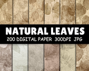 200 naturliga bladbakgrundspapper | Botaniska skelettbladstrukturer för scrapbooking, skräpjournal, sublimering | Kommersiellt bruk PNG