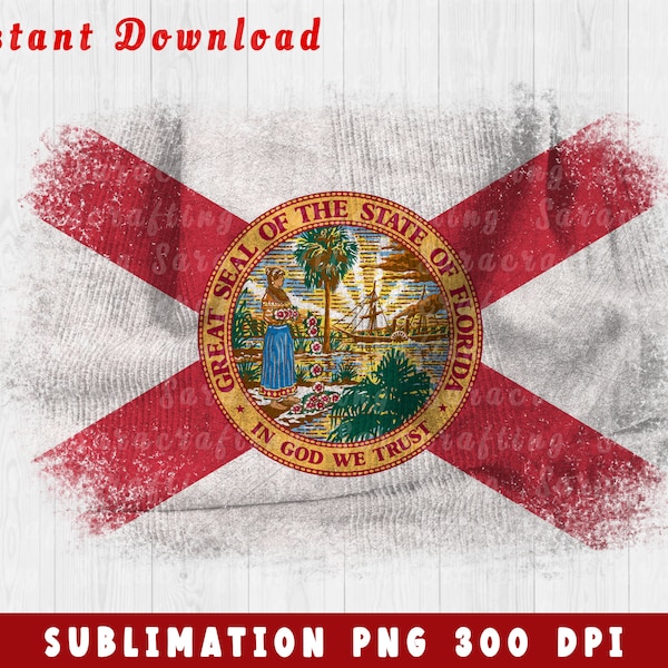 Grunge Florida state flag Png Bleach USA Flag United State Clipart Sublimation Design Download Distress us America flag American flag